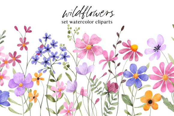 Download Floral Watercolor Set, Flowers, Leaves. - Leaves Collection